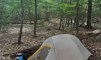 Camping near Moose Mountain Backcountry Shelter on the AT — Appalachian National Scenic Trail: Velvet Rocks Shelter Backcountry Campground on the AT — Appalachian National Scenic Trail, Hanover, New Hampshire