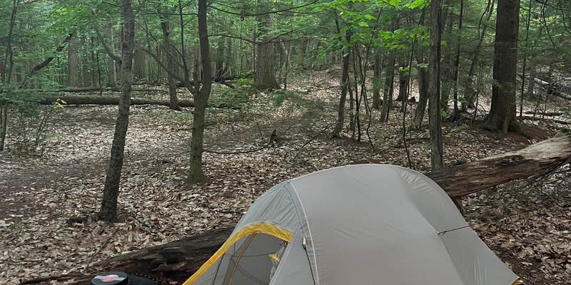 Camper submitted image from Velvet Rocks Shelter Backcountry Campground on the AT — Appalachian National Scenic Trail