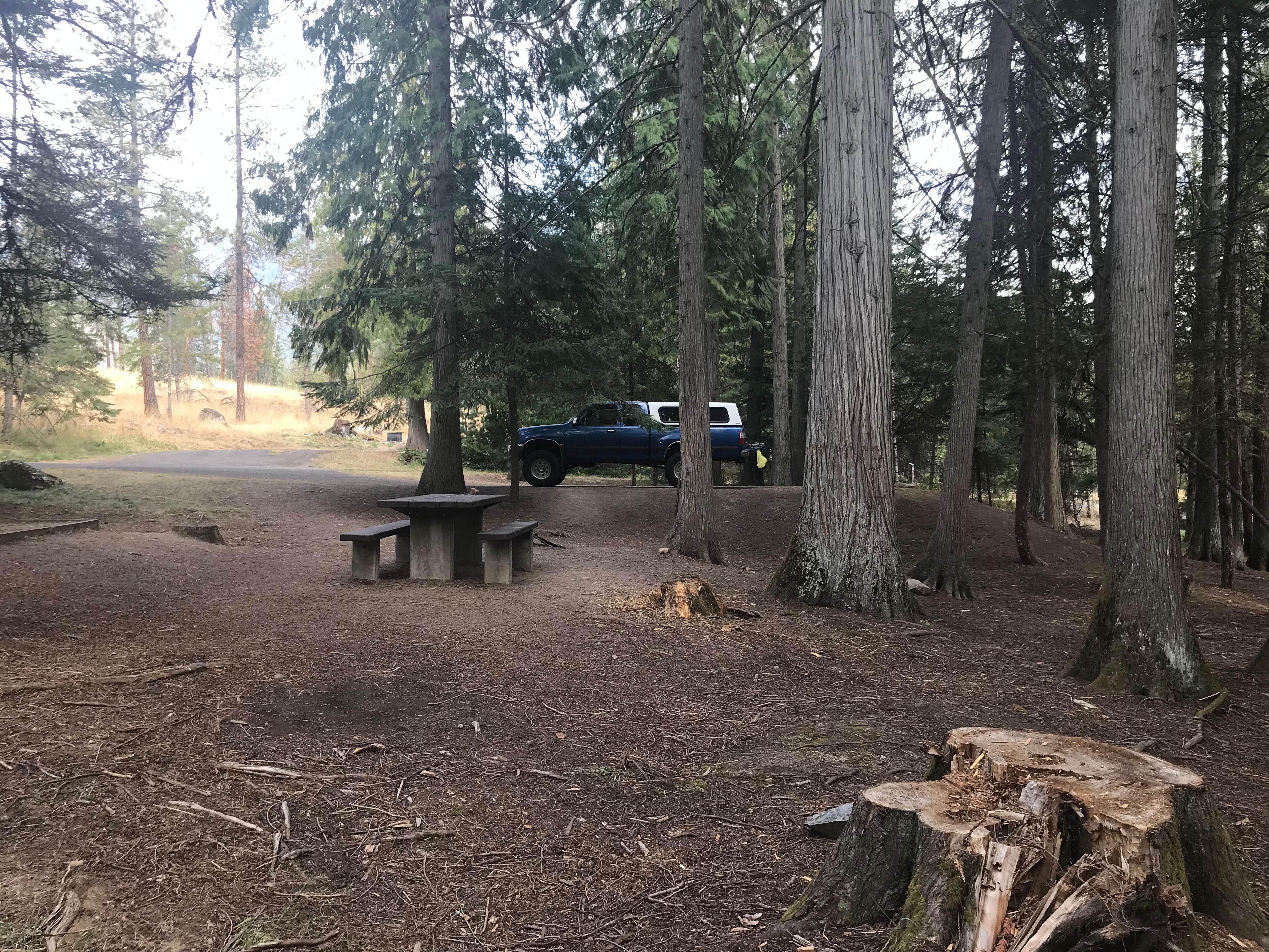 Michael T G.'s photo at Sam Owen Camnpground near Kootenai, ID