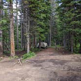 Review photo of Fall River Reservoir Dispersed Camping Trail by jimi A., August 25, 2022