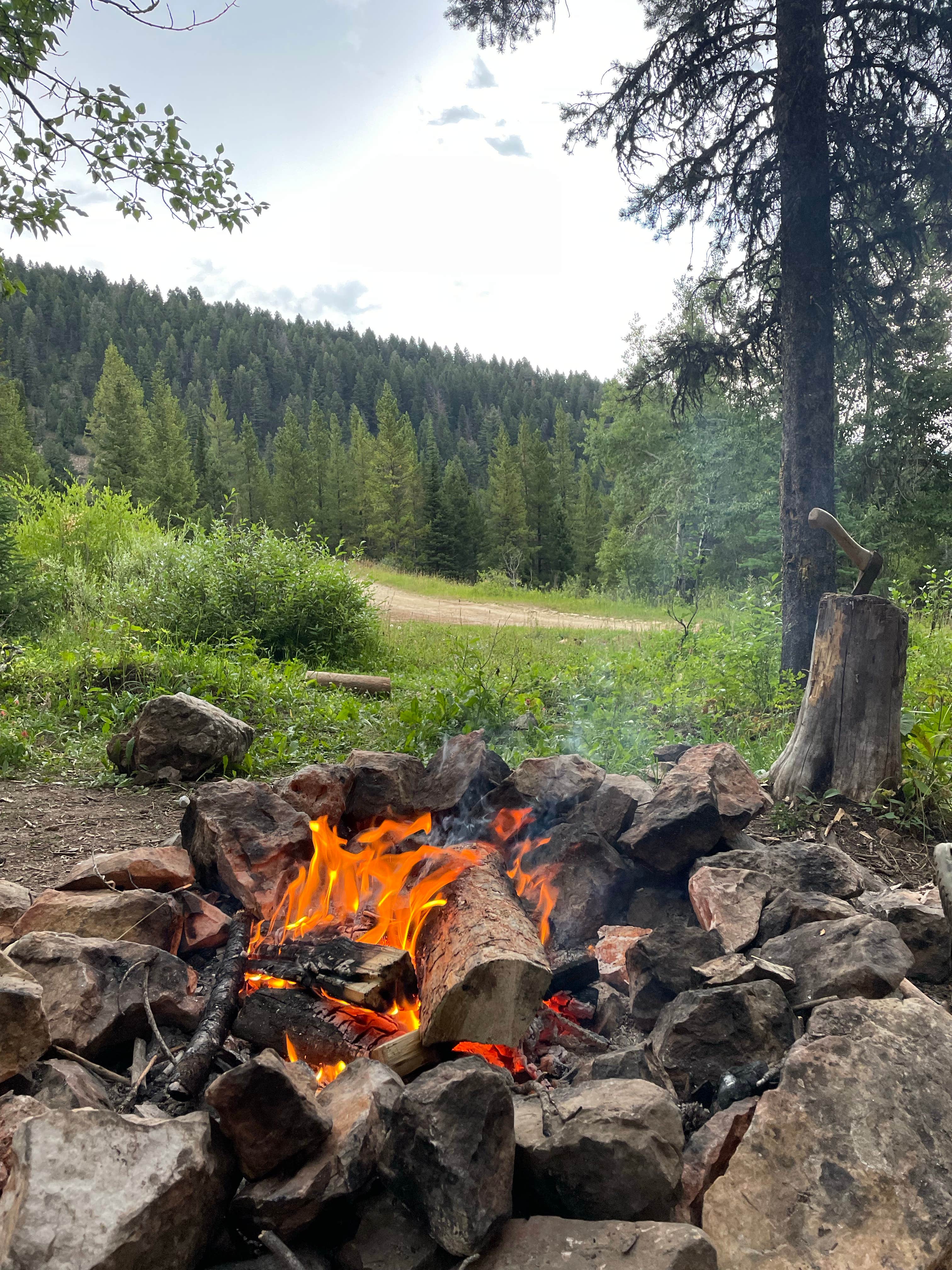 Camper-submitted photo at Hyalite Canyon Dispersed - FS 1046 in Montana