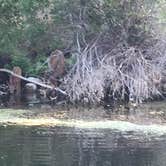 Review photo of Curlew Lake State Park Campground by Scott B., July 24, 2018