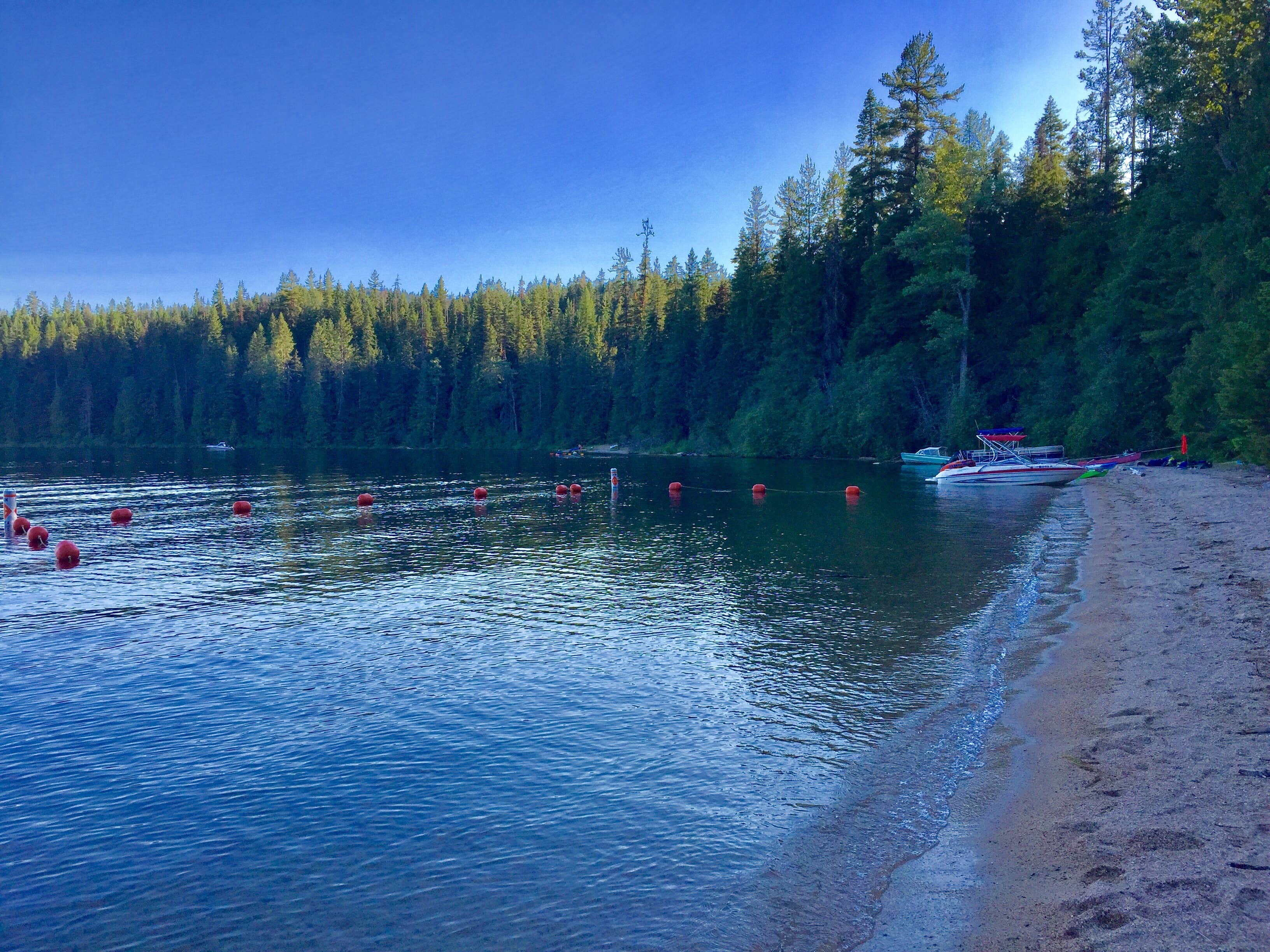 Camper submitted image from Nordman Campground - 2