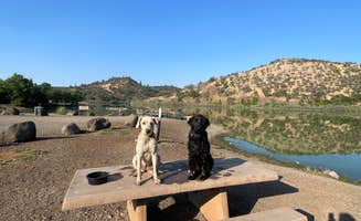 Emily P.'s photo of camping with pets at Iron Gate Reservoir (Camp Creek) near Dorris, CA
