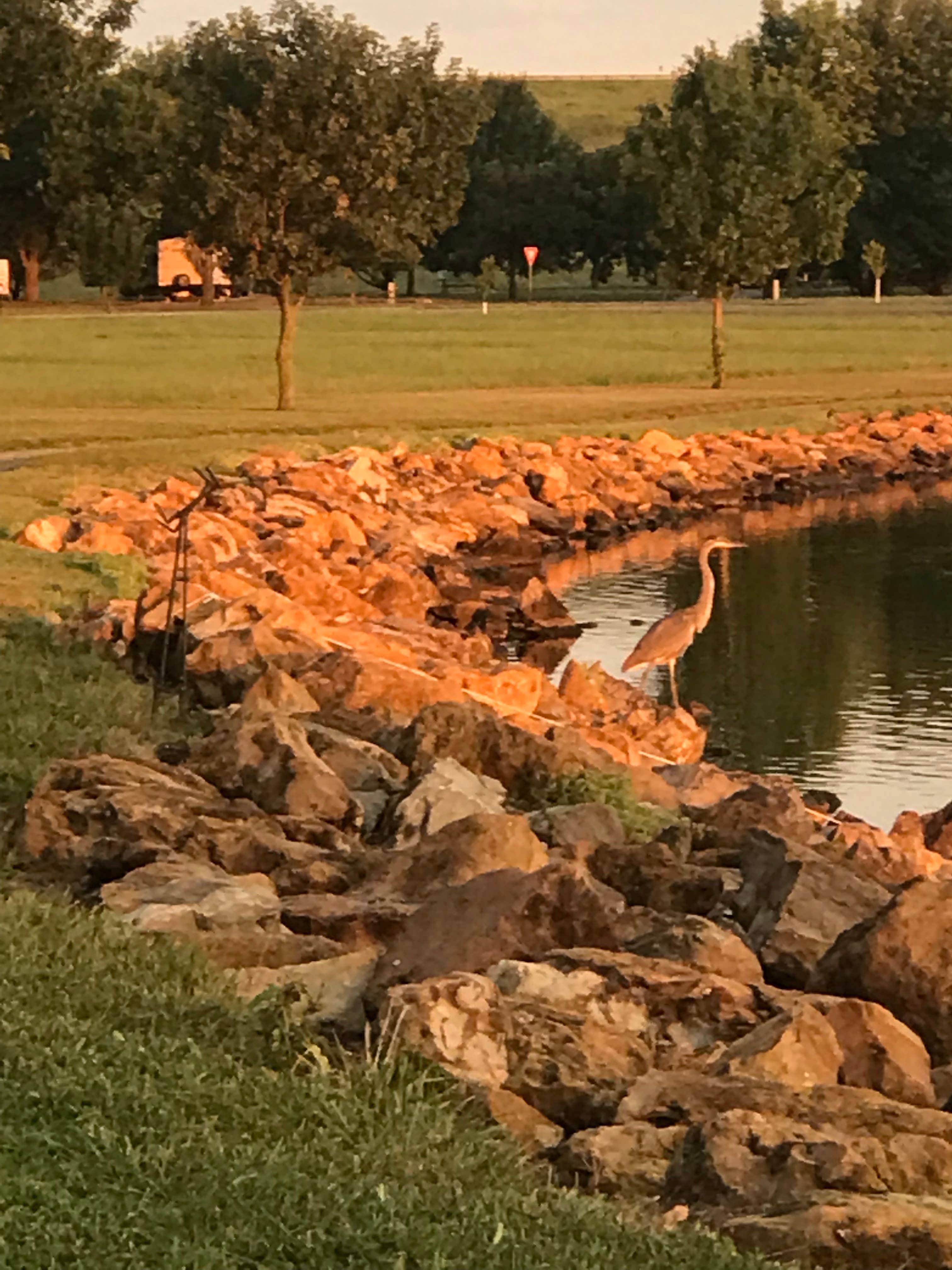 Camper submitted image from Outlet Park Campground Melvern Lake COE - 5