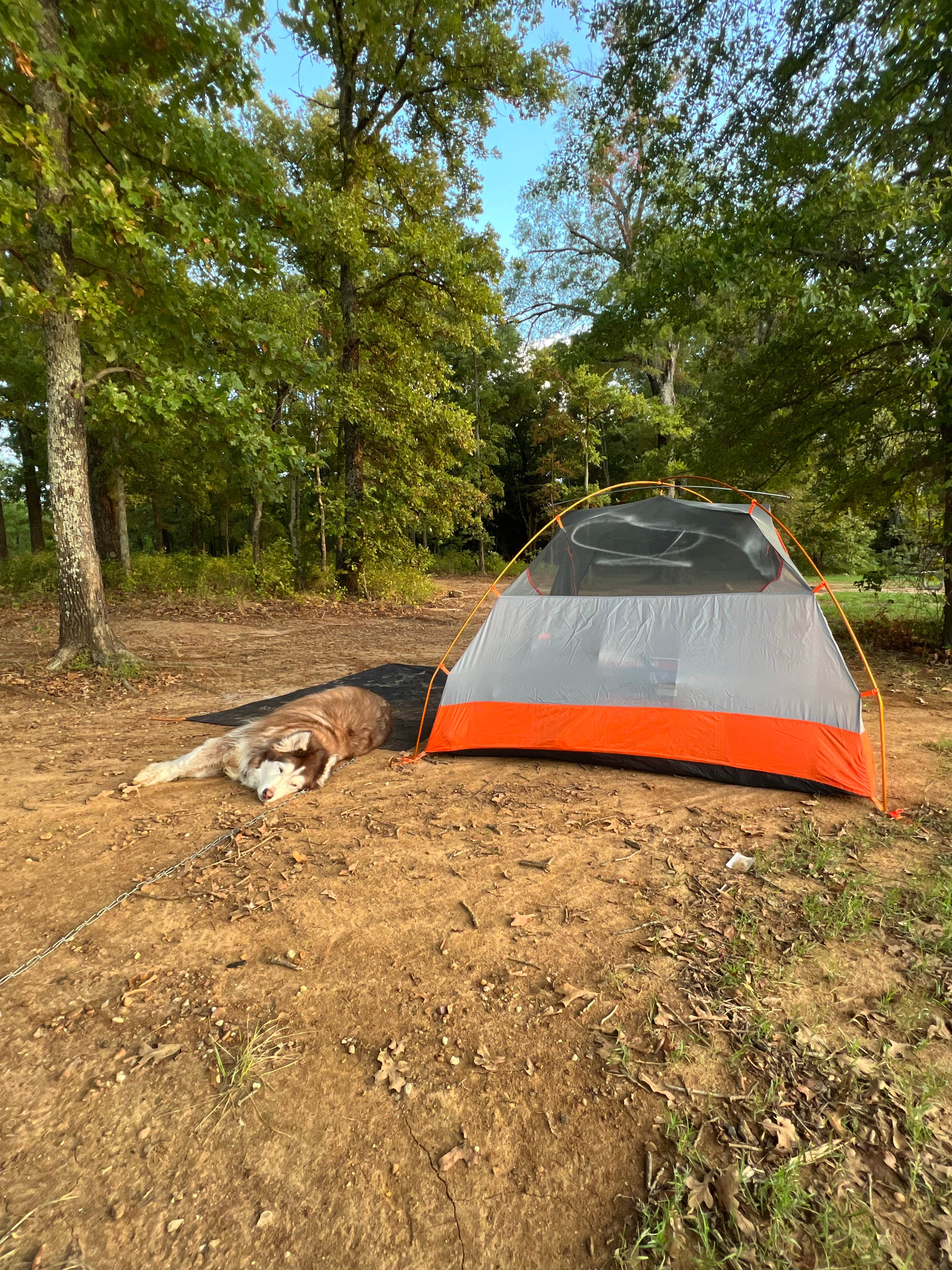 Anna S.'s photo at Oak Grove Campground — Cooper Lake State Park South Sulphur Unit near Arthur City, TX