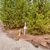 Review photo of Peak One Campground by Gerri B., August 26, 2022
