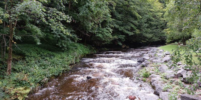 Camper submitted image from Whetstone Gulf State Park Campground
