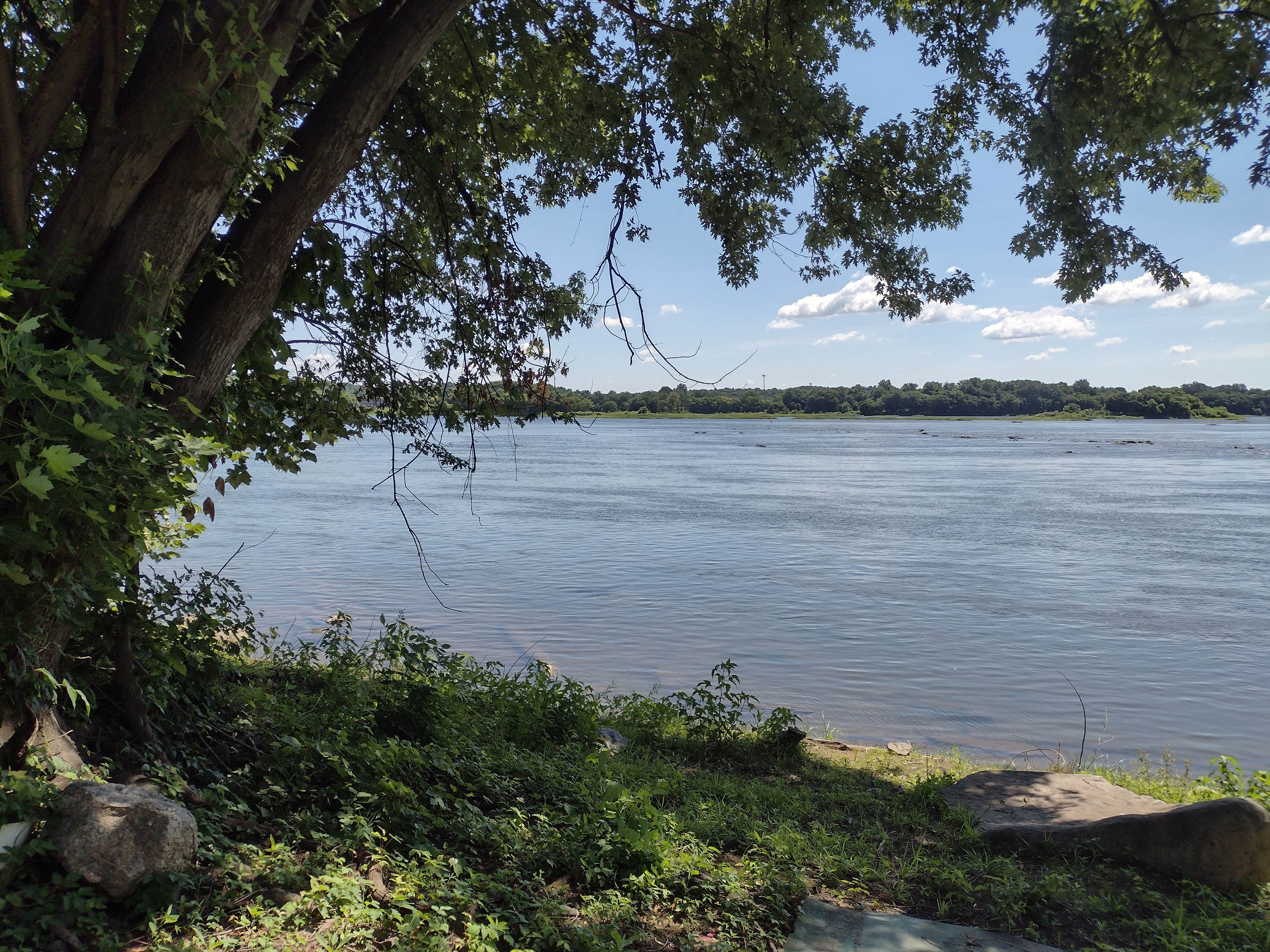 Camper-submitted photo at The Hefenfinger's Fish Camp near Harrisburg, PA