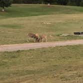 Review photo of Campground St. Regis by Scott B., July 24, 2018