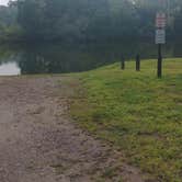 Review photo of Saulsbury Bridge Recreation Area - Main Camping by James M., August 25, 2022