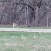 Review photo of Turtle River State Park Campground by max J., August 27, 2022