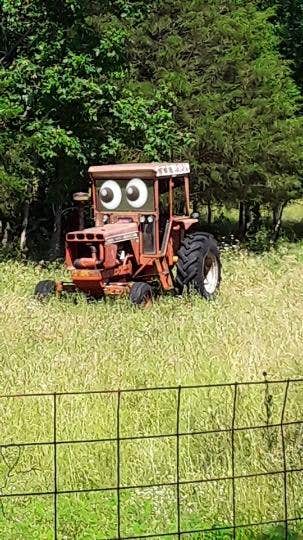Camper-submitted photo at Mountain View Camping near Branson, MO