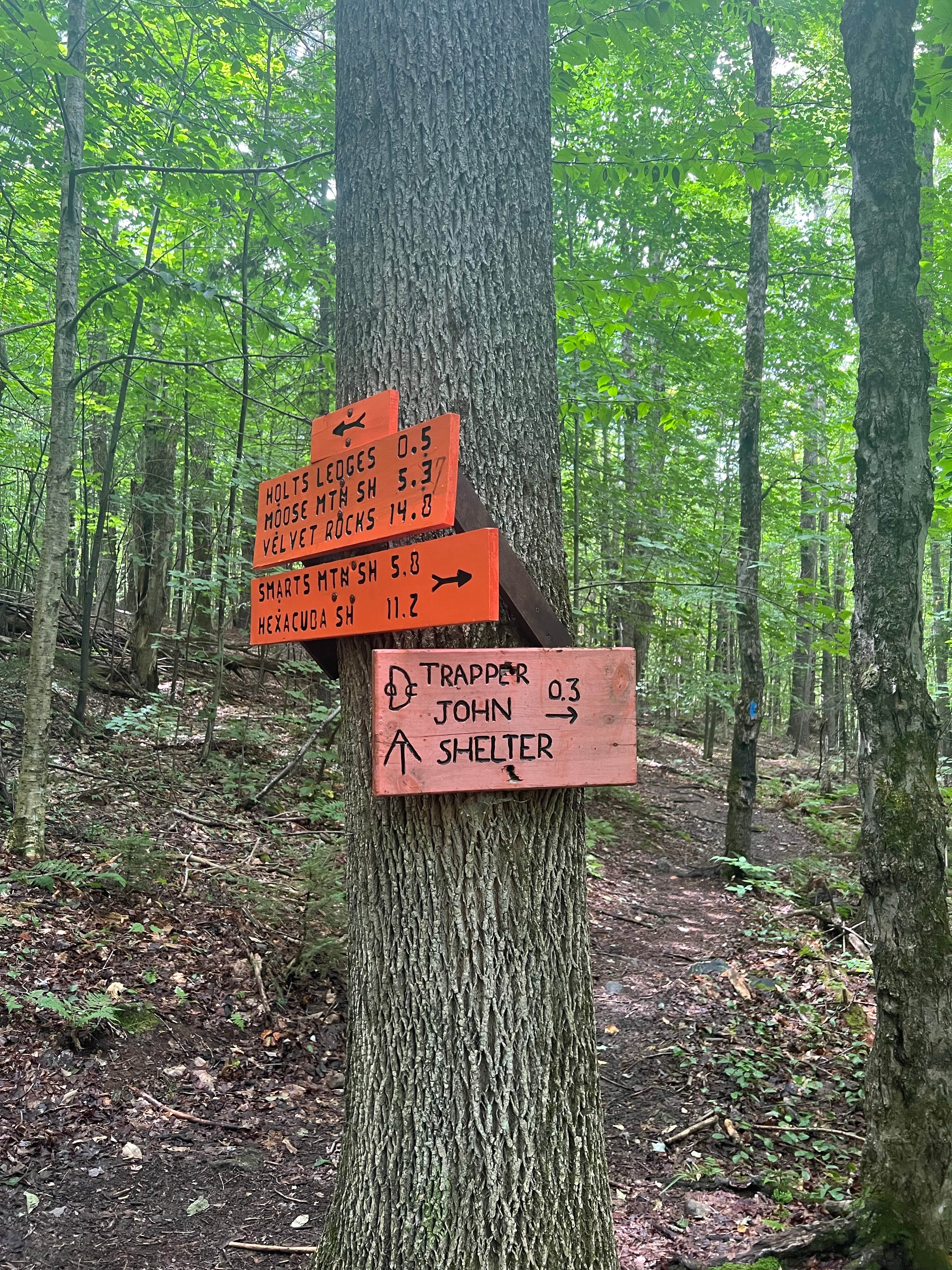 Camper submitted image from Trapper John Backcountry Campground on the AT — Appalachian National Scenic Trail - 4