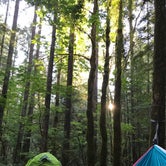 Review photo of Panther Creek Campground by Aimee W., July 24, 2018