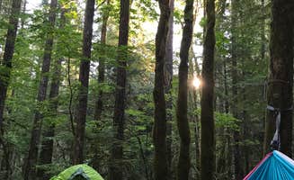 Aimee W.'s photo at Panther Creek Campground near Carson, WA