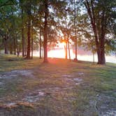 Review photo of Taylor Bay Campground by Crystal H., August 27, 2022