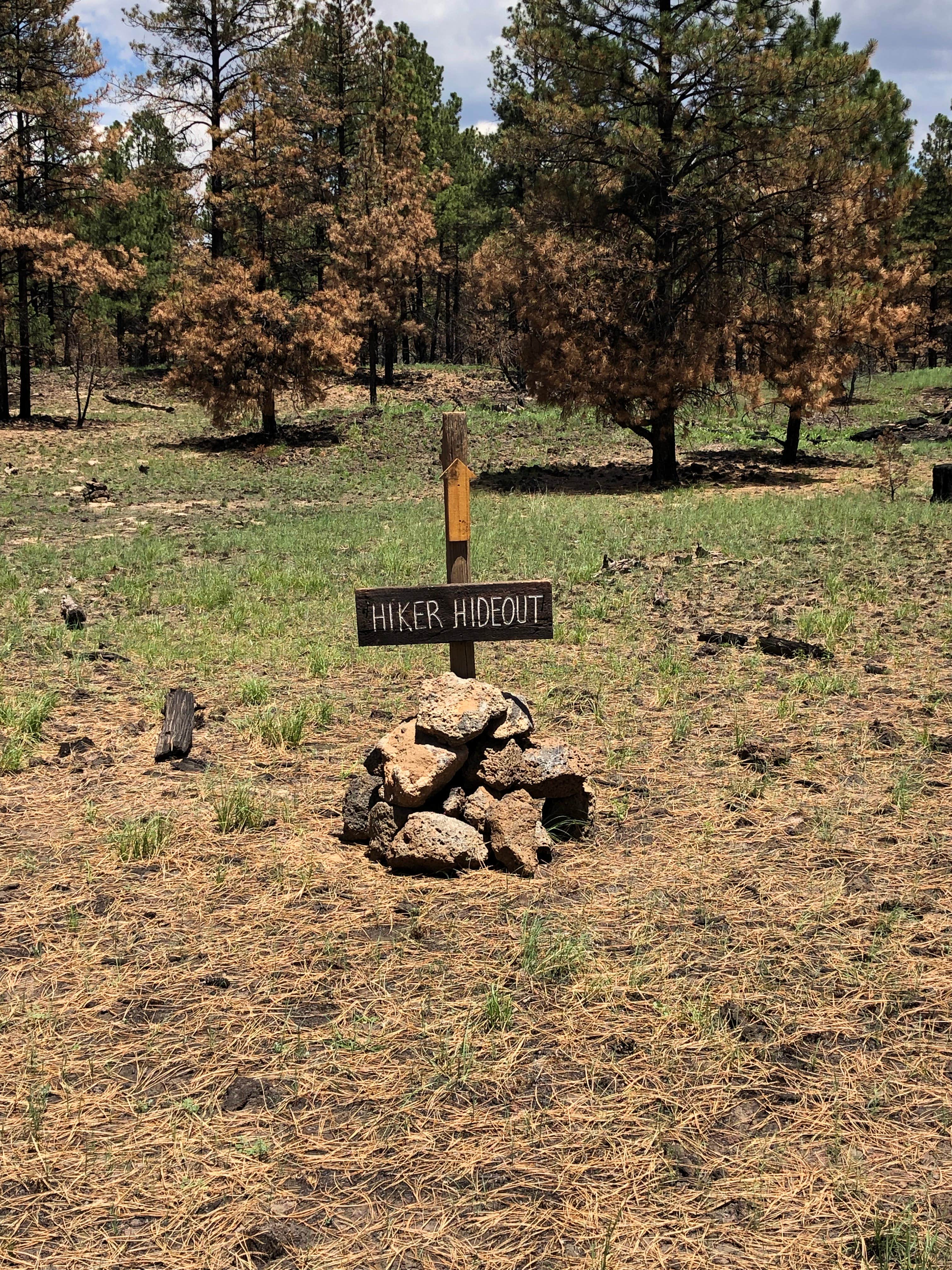 Camper-submitted photo at Chain of Craters Hiker Hideout near San Fidel, NM