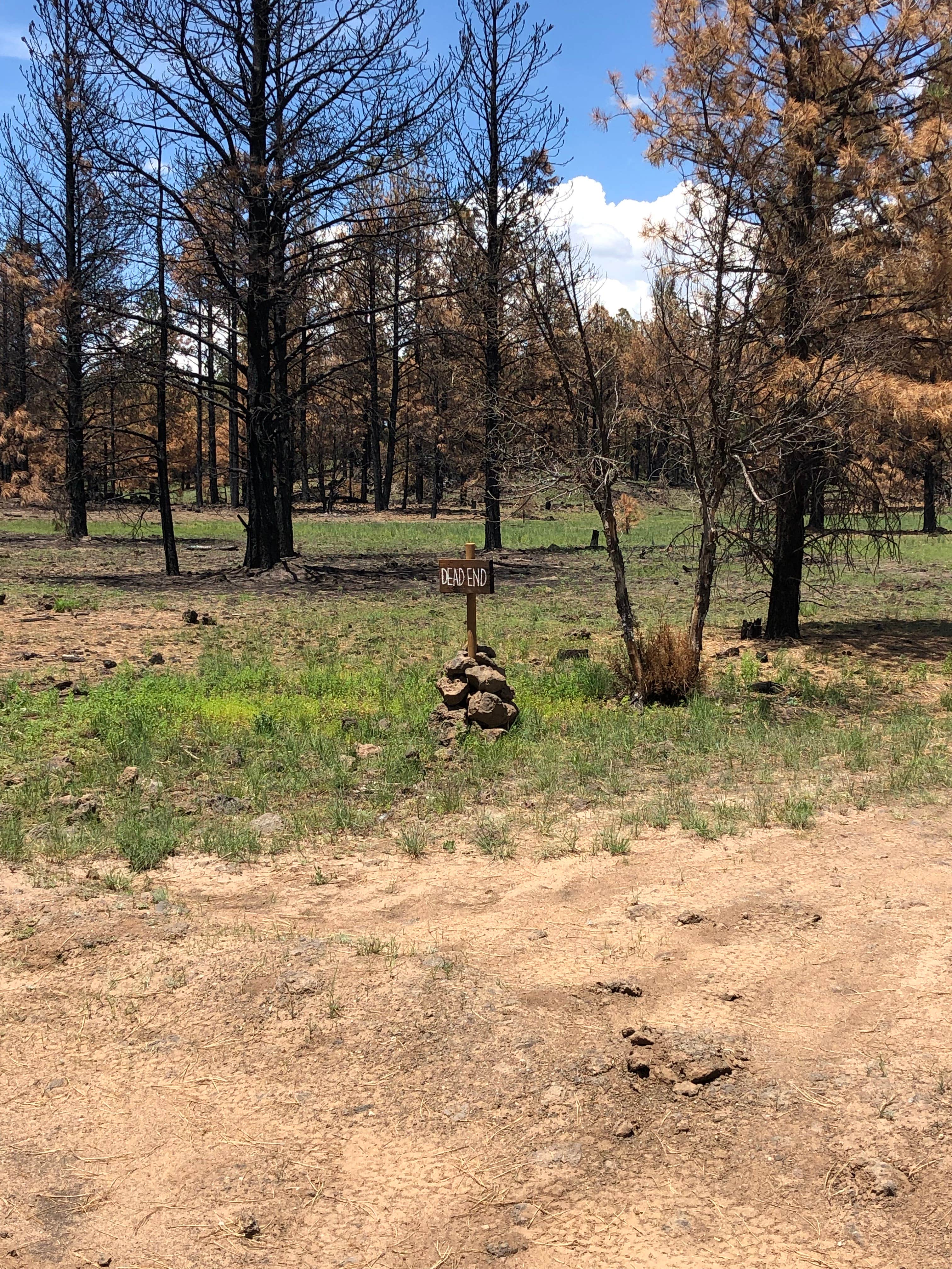 Camper-submitted photo at Chain of Craters Hiker Hideout near San Fidel, NM