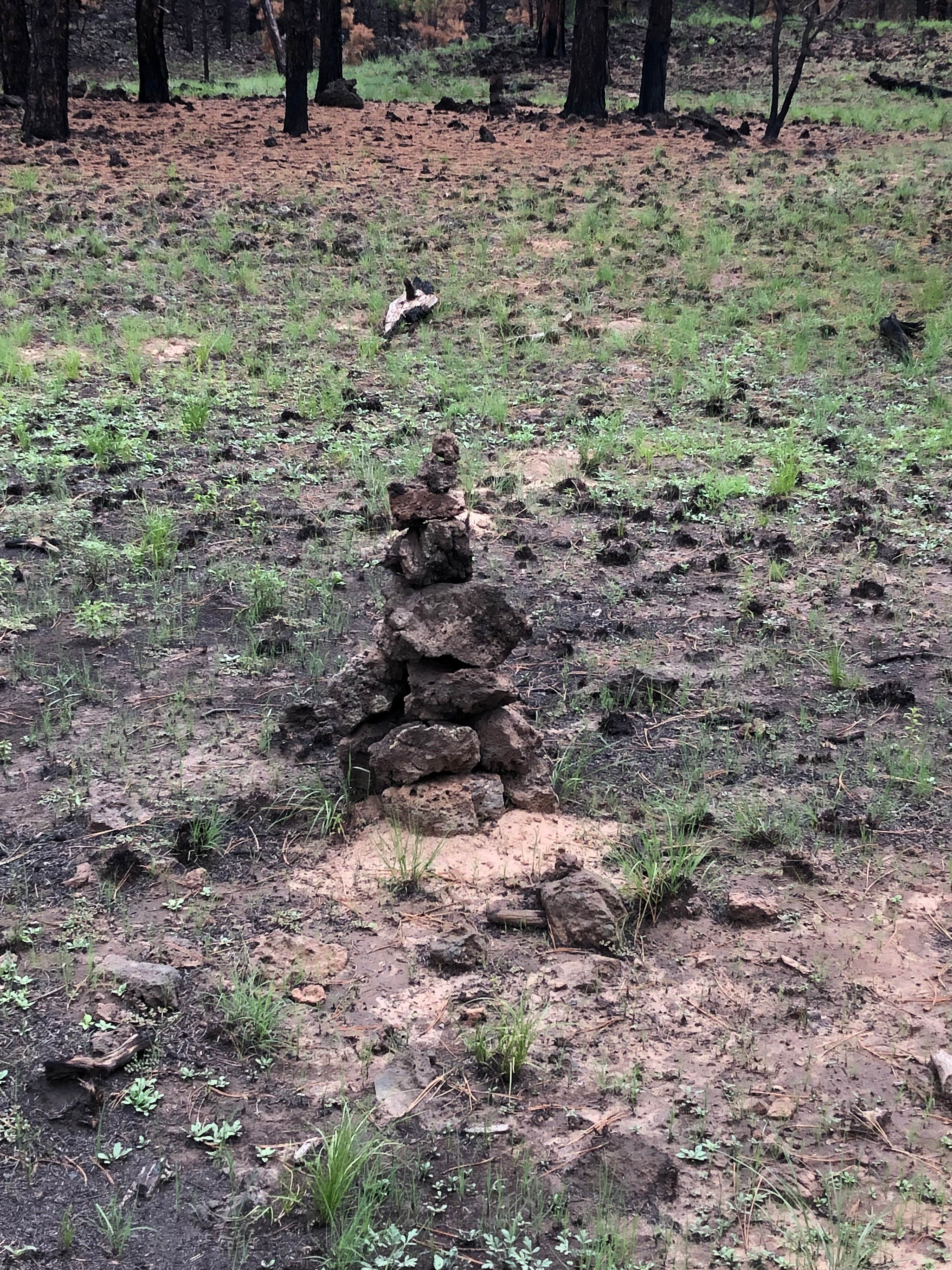 Camper-submitted photo at Chain of Craters Hiker Hideout near San Fidel, NM
