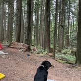 Review photo of South Fork Snoqualmie River Dispersed Site by Max H., August 27, 2022