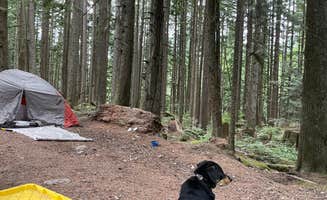 Max H.'s photo of a dispersed camping area at South Fork Snoqualmie River Dispersed Site near Snoqualmie Pass, WA