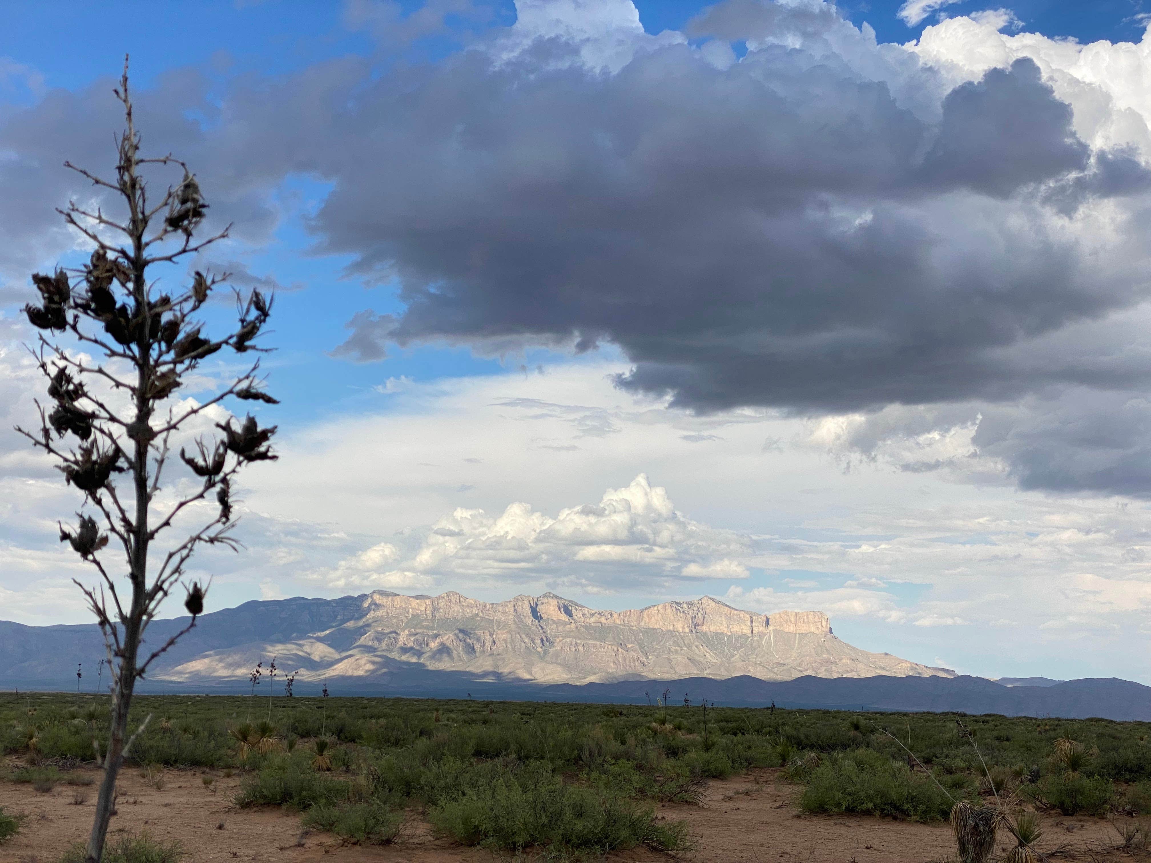 Camper-submitted photo at More Travel Less Talk near Guadalupe Mountains National Park