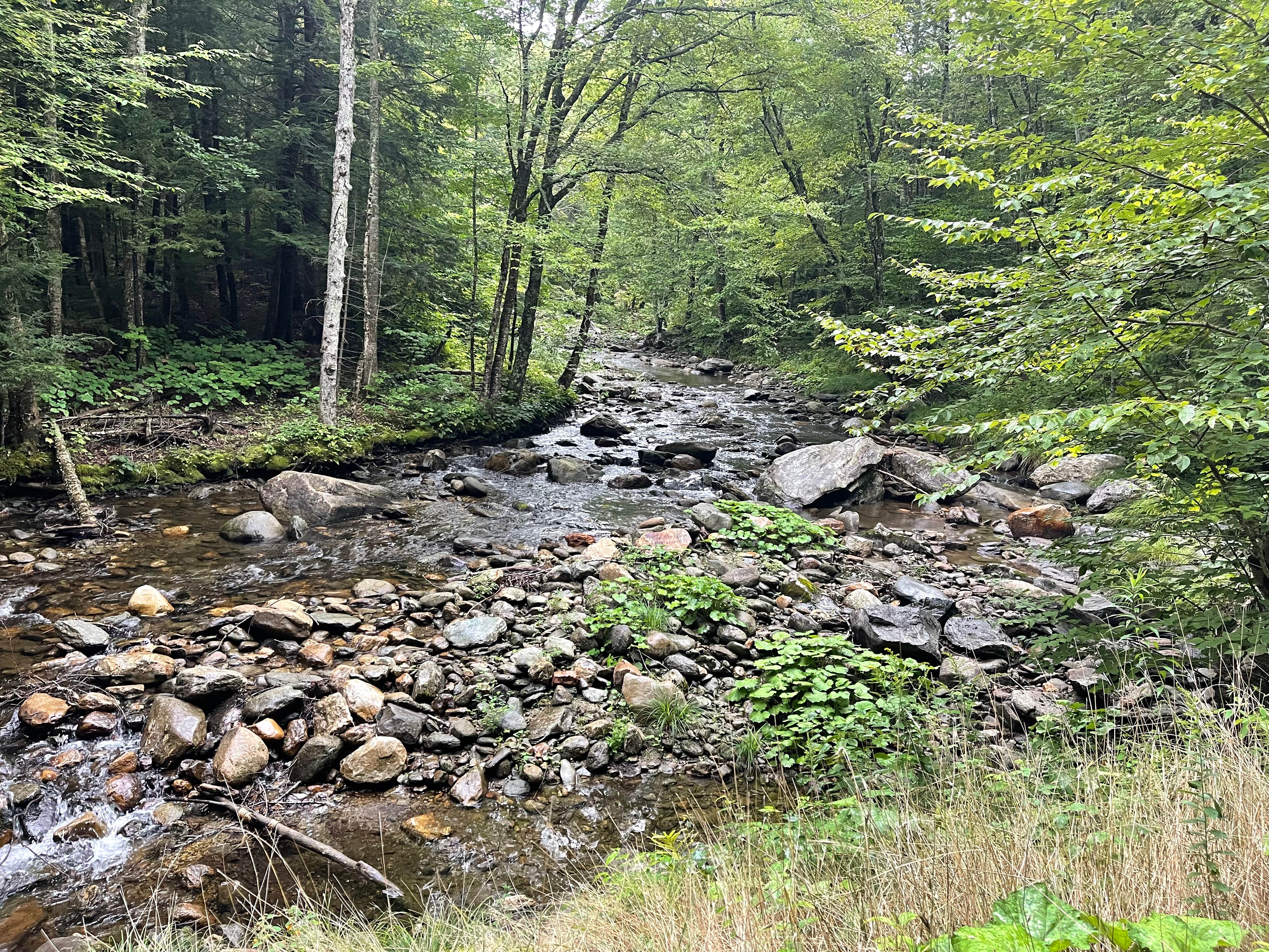 Camper-submitted photo at Michigan Brook near Mendon, VT