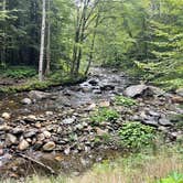 Review photo of Michigan Brook by TRUCKER C., August 27, 2022