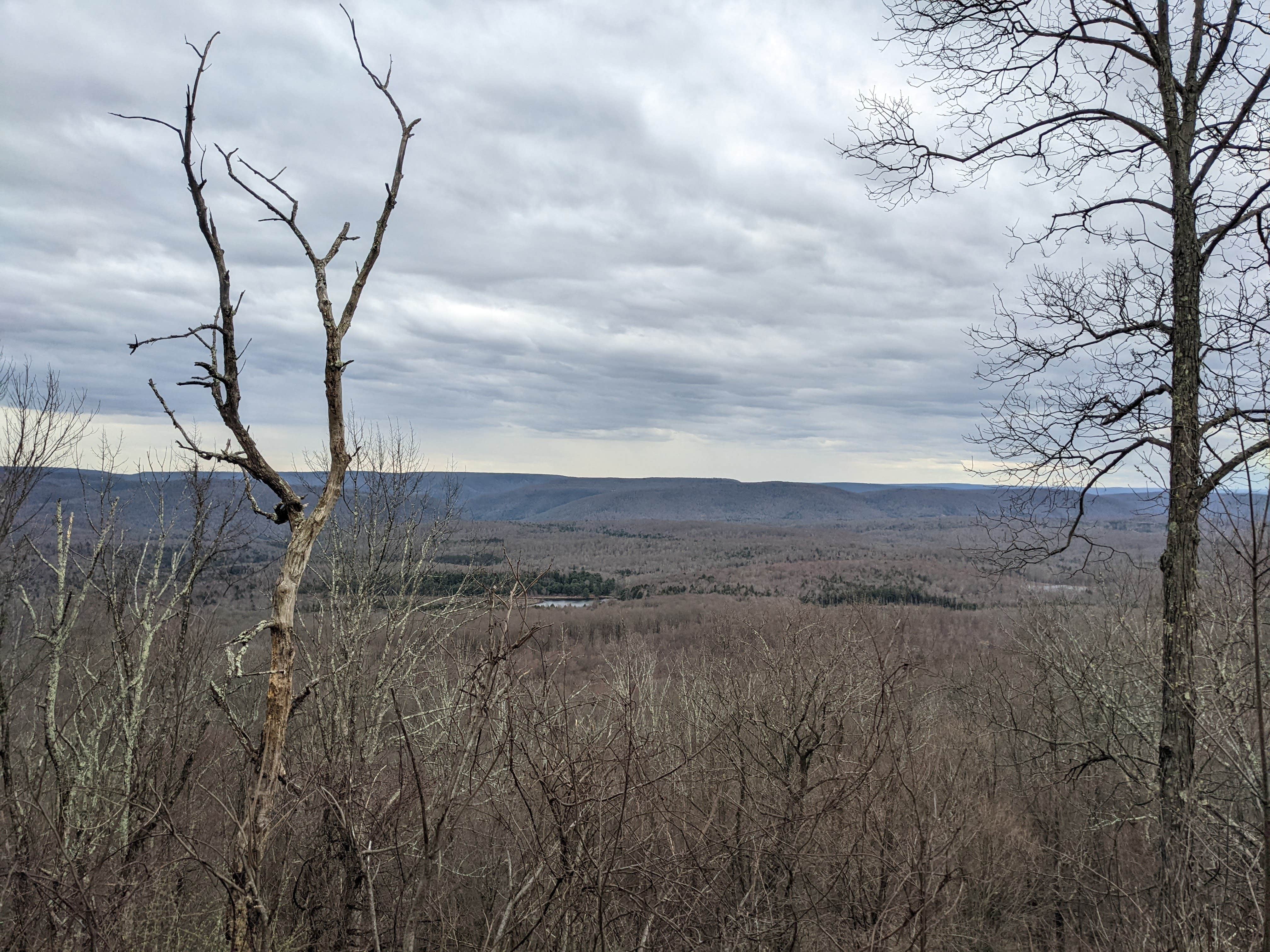 Camper-submitted photo at Old Logger's Path near Eagles Mere, PA