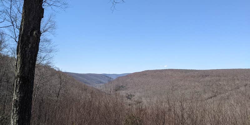 Camper submitted image from Old Logger's Path