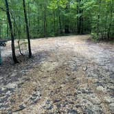 Review photo of Tunica Hills Campground by Tyler H., August 27, 2022