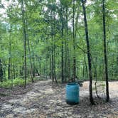 Review photo of Tunica Hills Campground by Tyler H., August 27, 2022