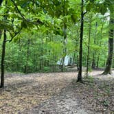 Review photo of Tunica Hills Campground by Tyler H., August 27, 2022