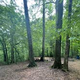 Review photo of Tunica Hills Campground by Tyler H., August 27, 2022