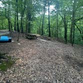 Review photo of Tunica Hills Campground by Tyler H., August 27, 2022