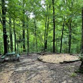 Review photo of Tunica Hills Campground by Tyler H., August 27, 2022