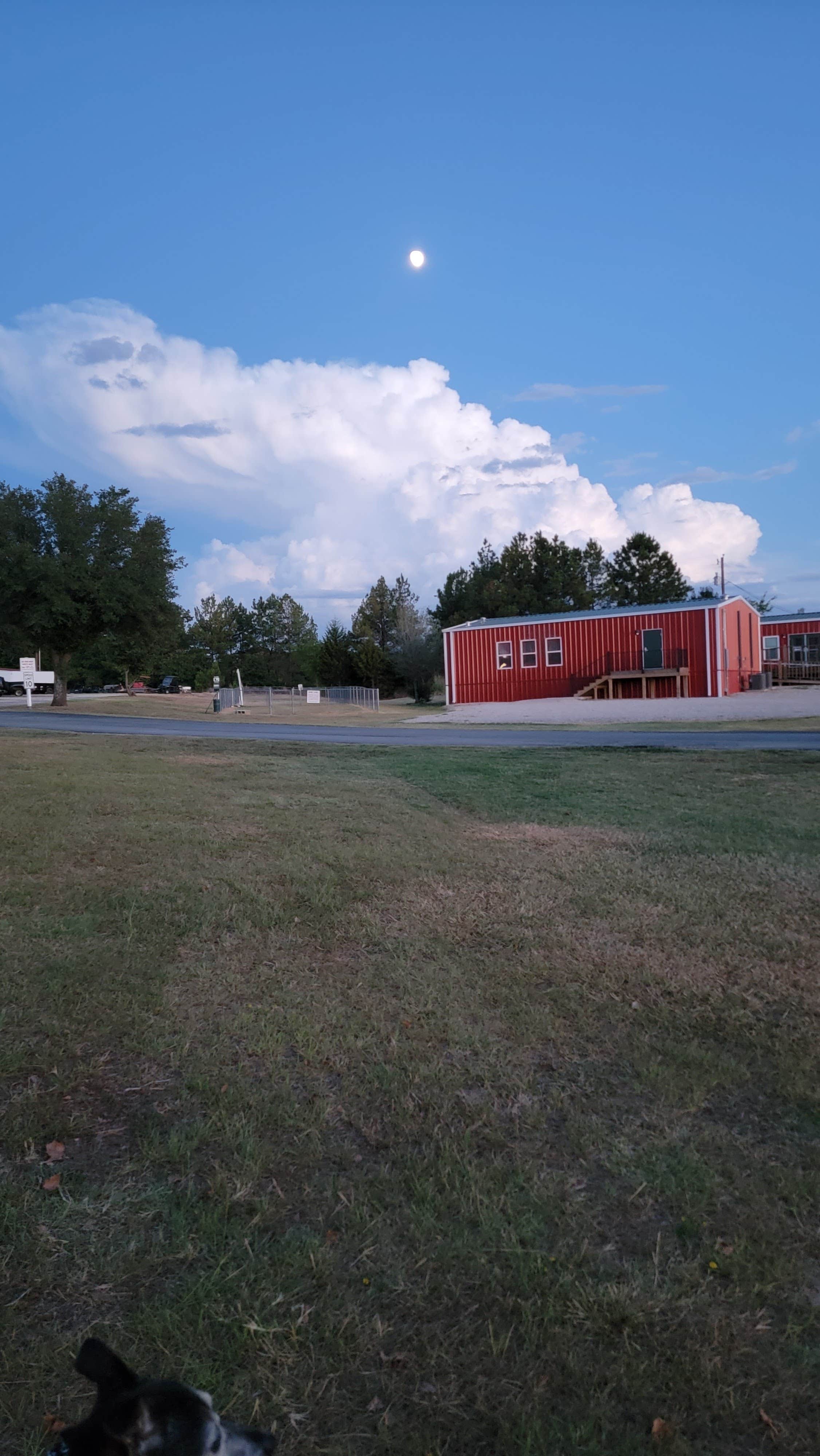Cindy S.'s photo of camping with pets at Texan RV Park & Campus near Lindale, TX