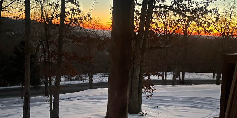 Camper submitted image from Into the Woods RV Park