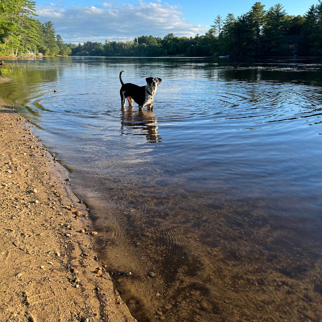 Autumn Hills Campground | Weare, NH