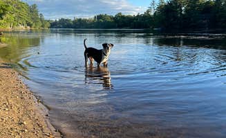 Quinn  G.'s photo of camping with pets at Autumn Hills Campground near Bennington, NH
