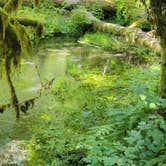 Review photo of Sequim Bay State Park Campground by Robert K., August 28, 2022