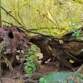 Review photo of Sequim Bay State Park Campground by Robert K., August 28, 2022