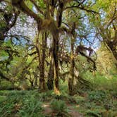 Review photo of Sequim Bay State Park Campground by Robert K., August 28, 2022