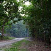 Review photo of Coon Creek (IL) by Meg  S., June 16, 2015
