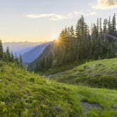 Review photo of Summerland Backcountry Campsites — Mount Rainier National Park by Graham C., August 28, 2022