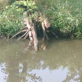 Review photo of Saulsbury Bridge Rec Area - Cedar River Campground by James M., August 28, 2022