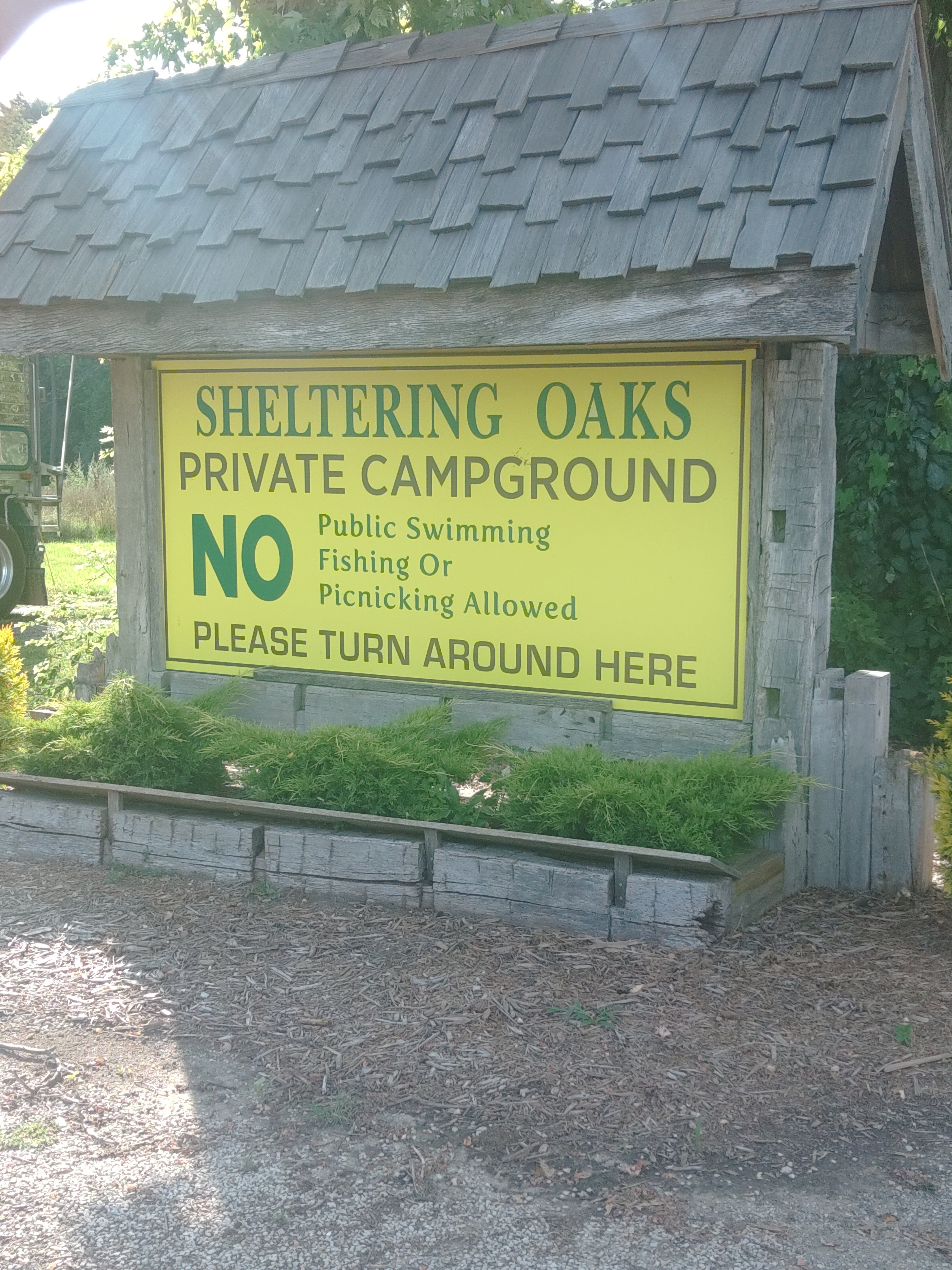 Camper submitted image from Sheltering Oaks Campground - 5
