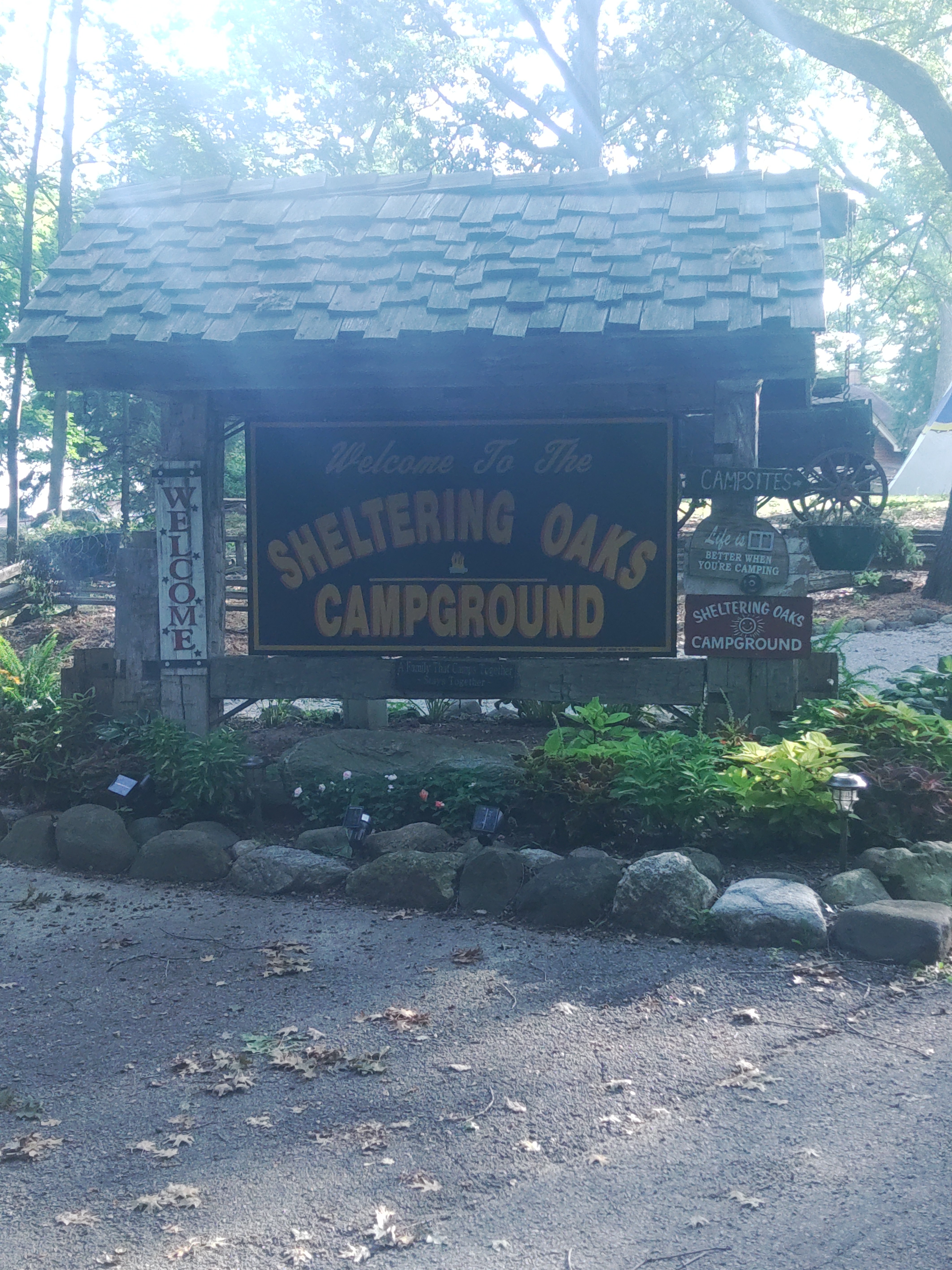 Camper submitted image from Sheltering Oaks Campground - 4