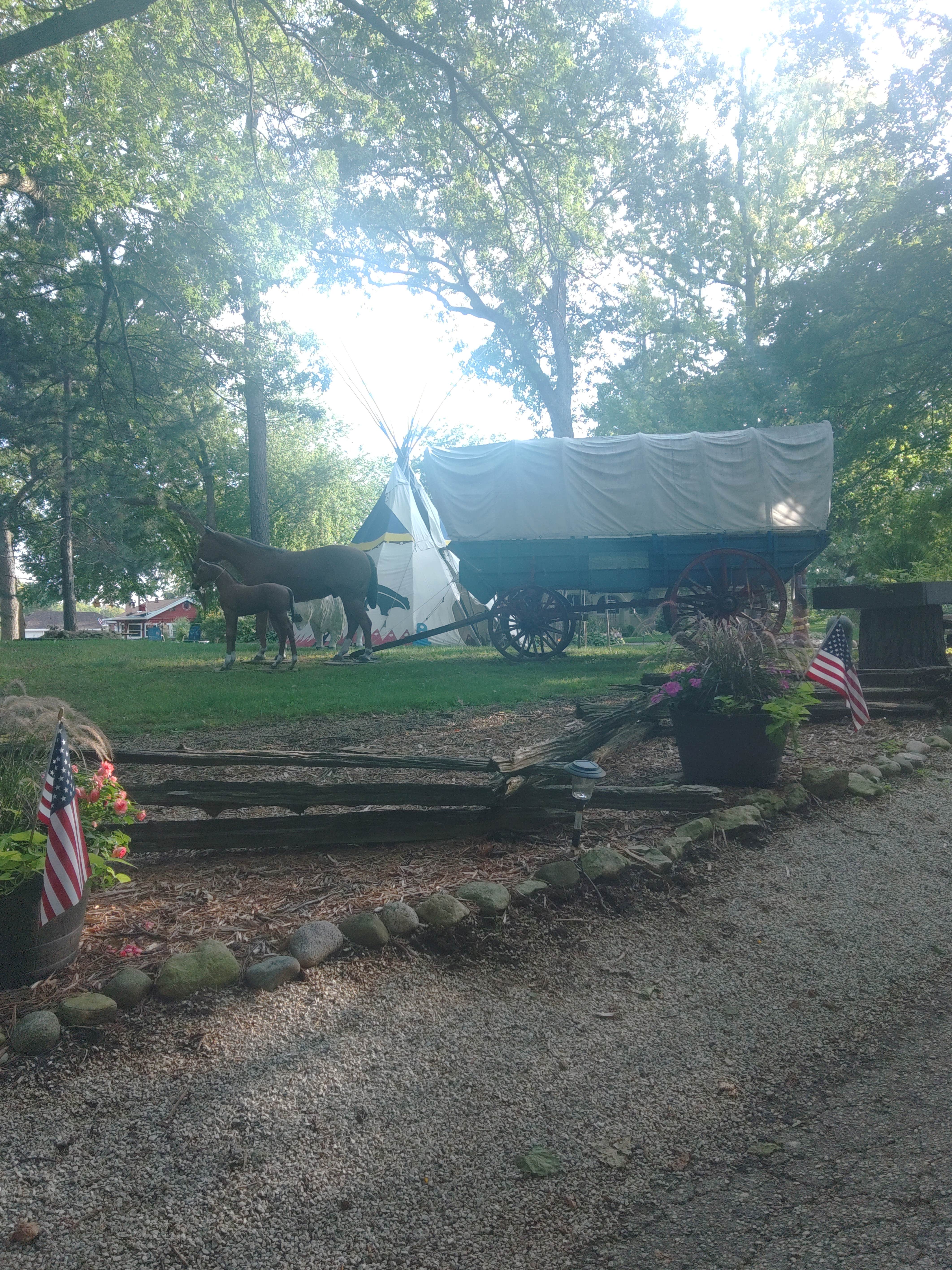 Camper submitted image from Sheltering Oaks Campground - 4